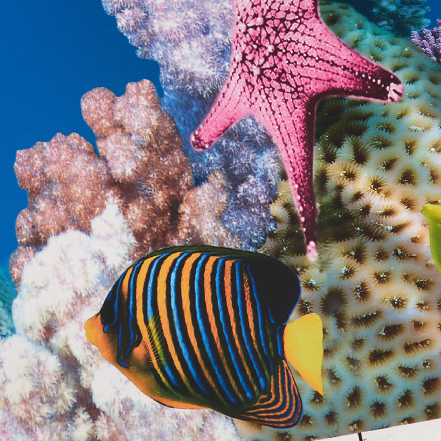 Fish In Aquarium Picture - ABWR-Aquarium Background Paper HD Picture 7D