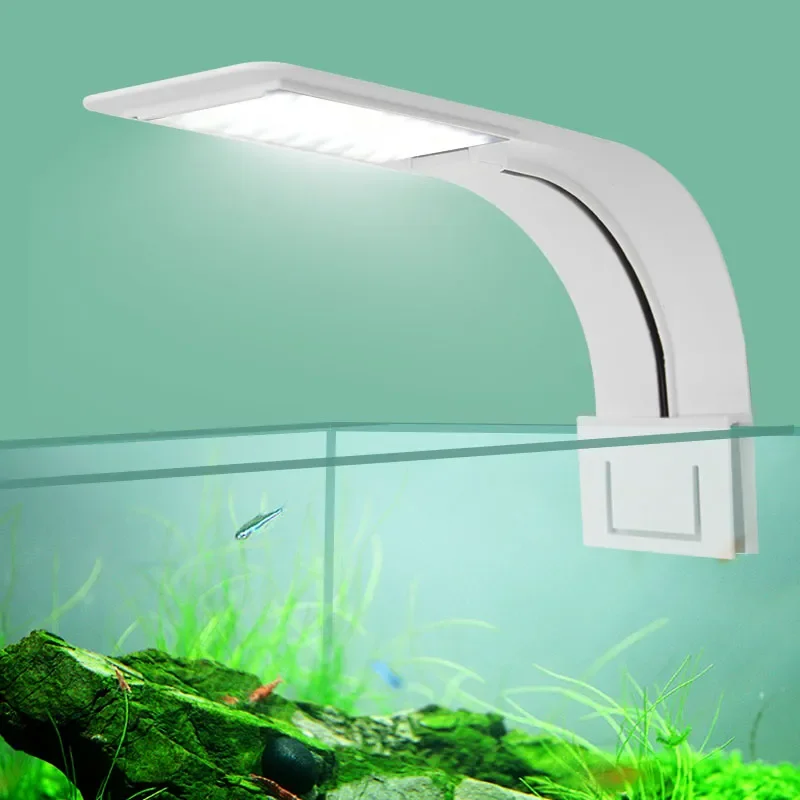 Fish In Aquarium Picture - Super Slim LED Aquarium Light Lighting