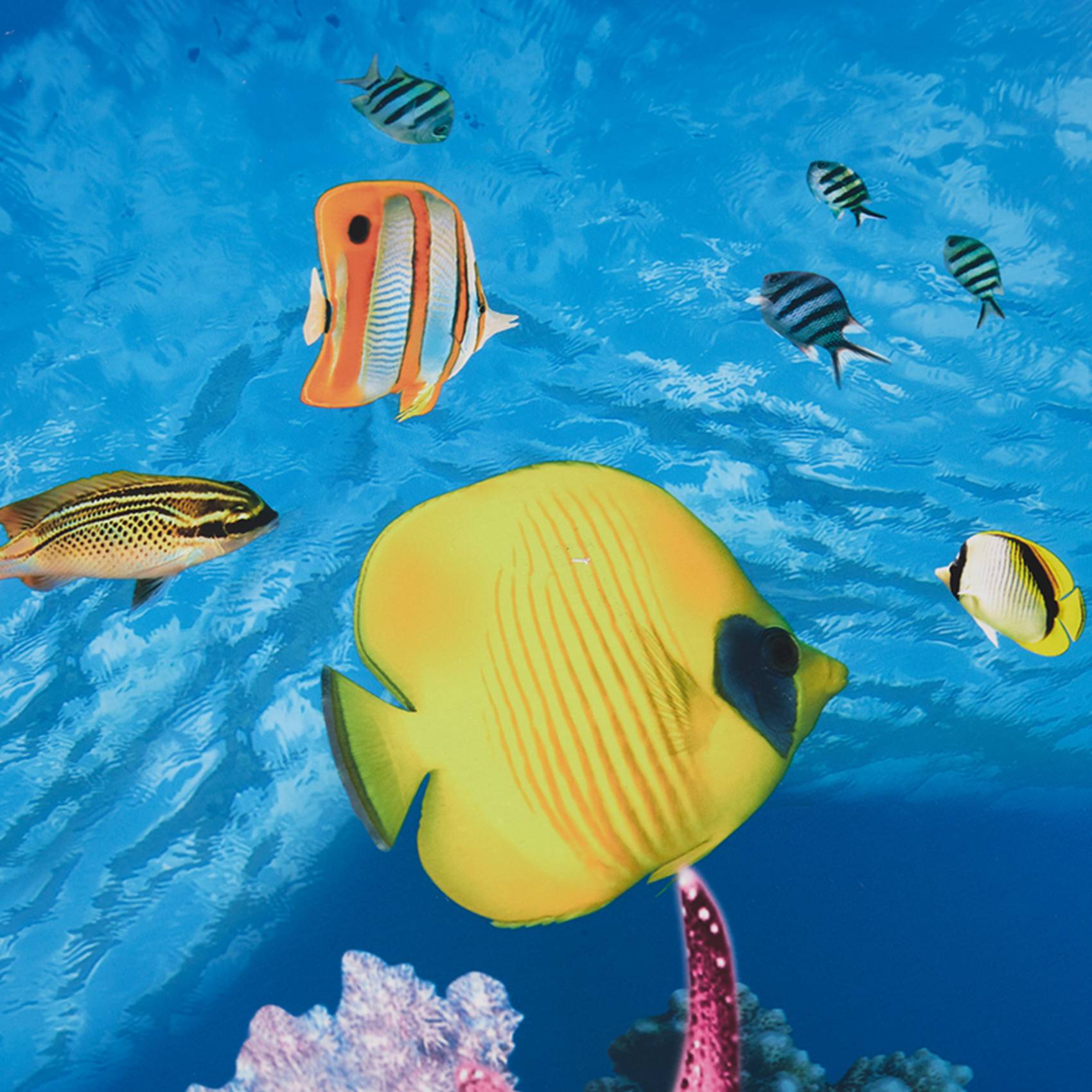 Fish In Aquarium Picture - BAAU Aquarium Background Paper HD Picture