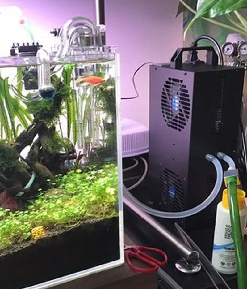 Constant Temperature Adjustabl - огляд і ціна Aquarium Fish Small
