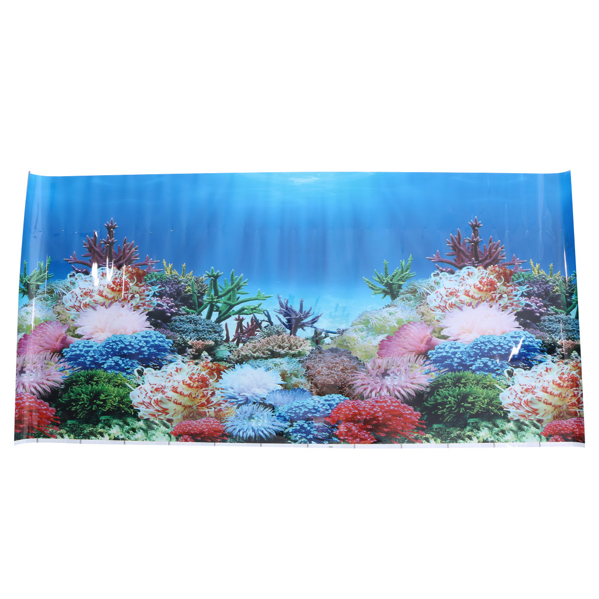 3 D Wallpaper Aquarium Picture - огляд і ціна Fish In Aquarium Picture