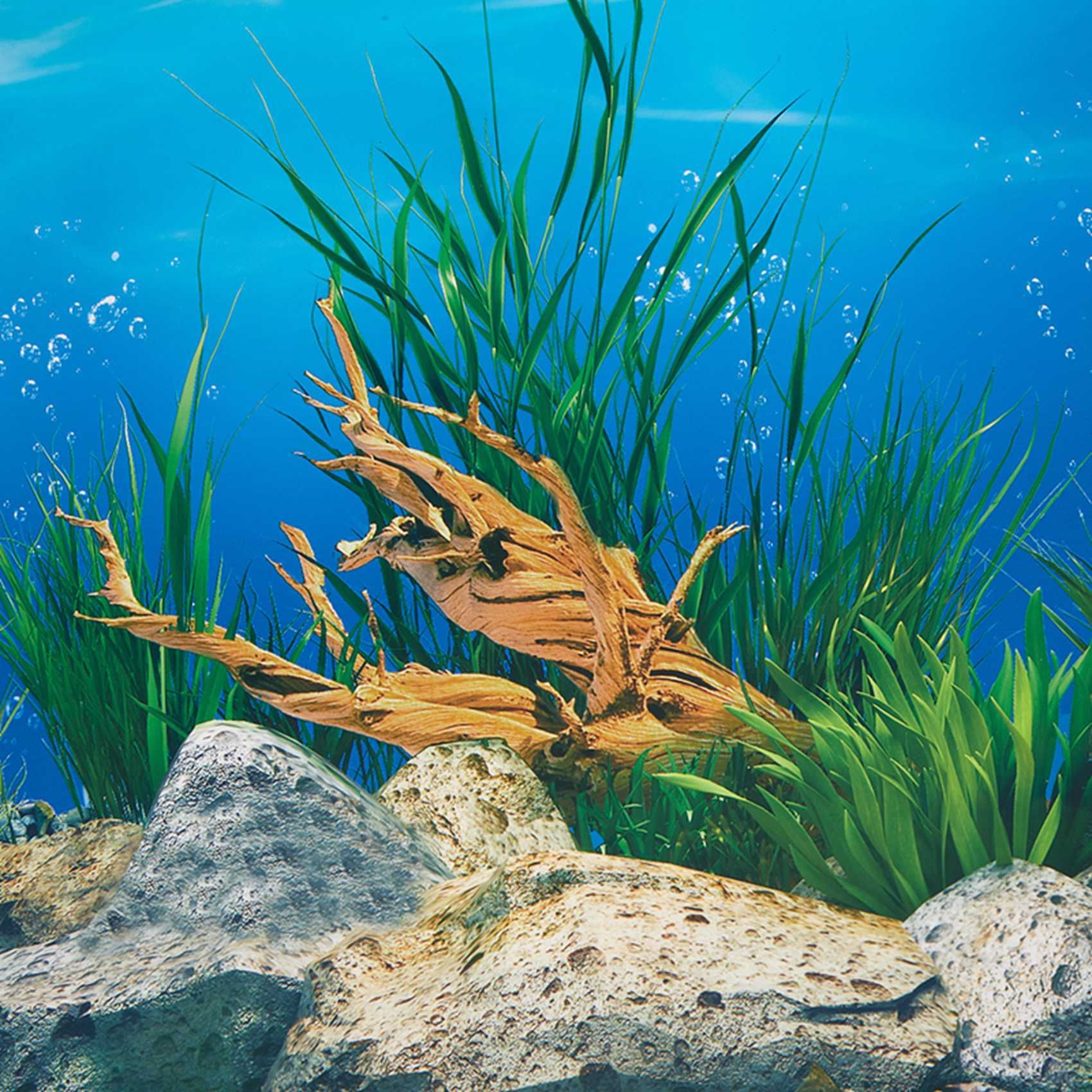 ABWR-Aquarium Background Paper - огляд і ціна Fish In Aquarium Picture