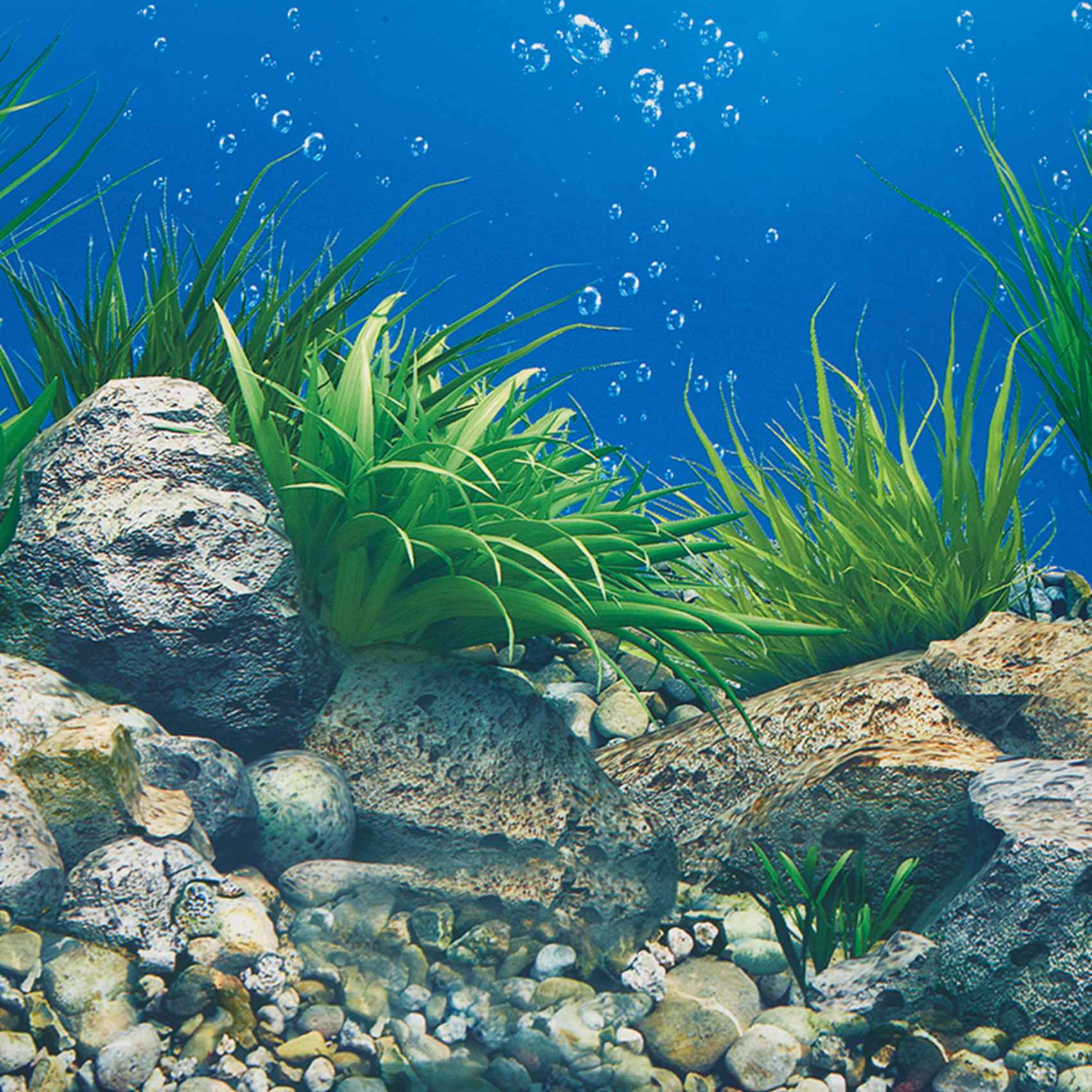 ABWR-Aquarium Background Paper - огляд і ціна Fish In Aquarium Picture