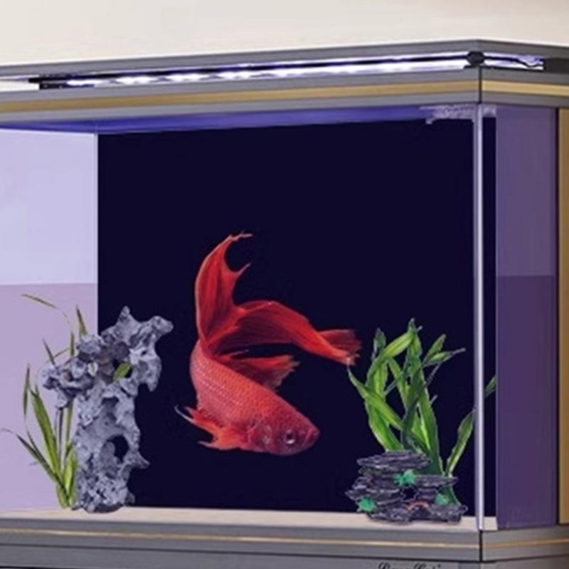 Black Aquarium Background Wall - огляд і ціна Fish In Aquarium Picture