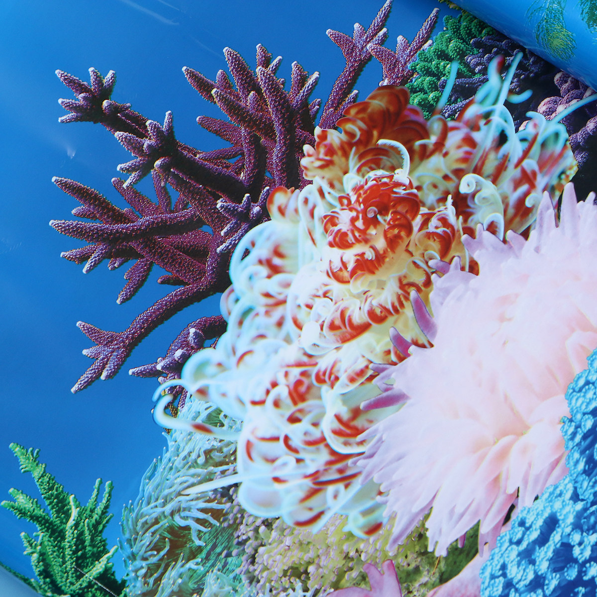 3 D Wallpaper Backgrounds for  - огляд і ціна Fish In Aquarium Picture