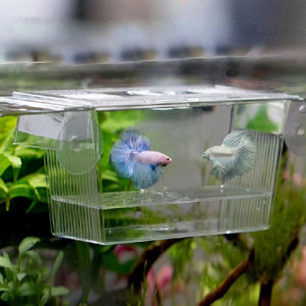 Creative Acrylic Fish Tank Bre - огляд і ціна Aquarium Fish Reproduction