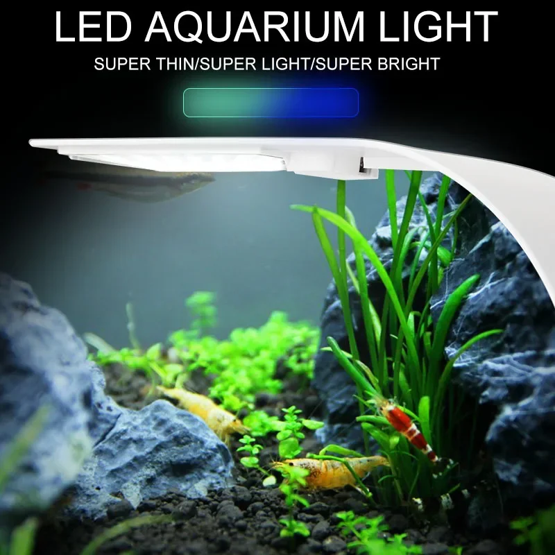 Super Slim LED Aquarium Light  - огляд і ціна Fish In Aquarium Picture