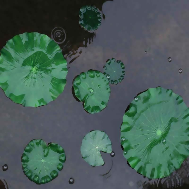 2026 Artificial Water Lily Lot - огляд і ціна Aquarium Fish Artificial