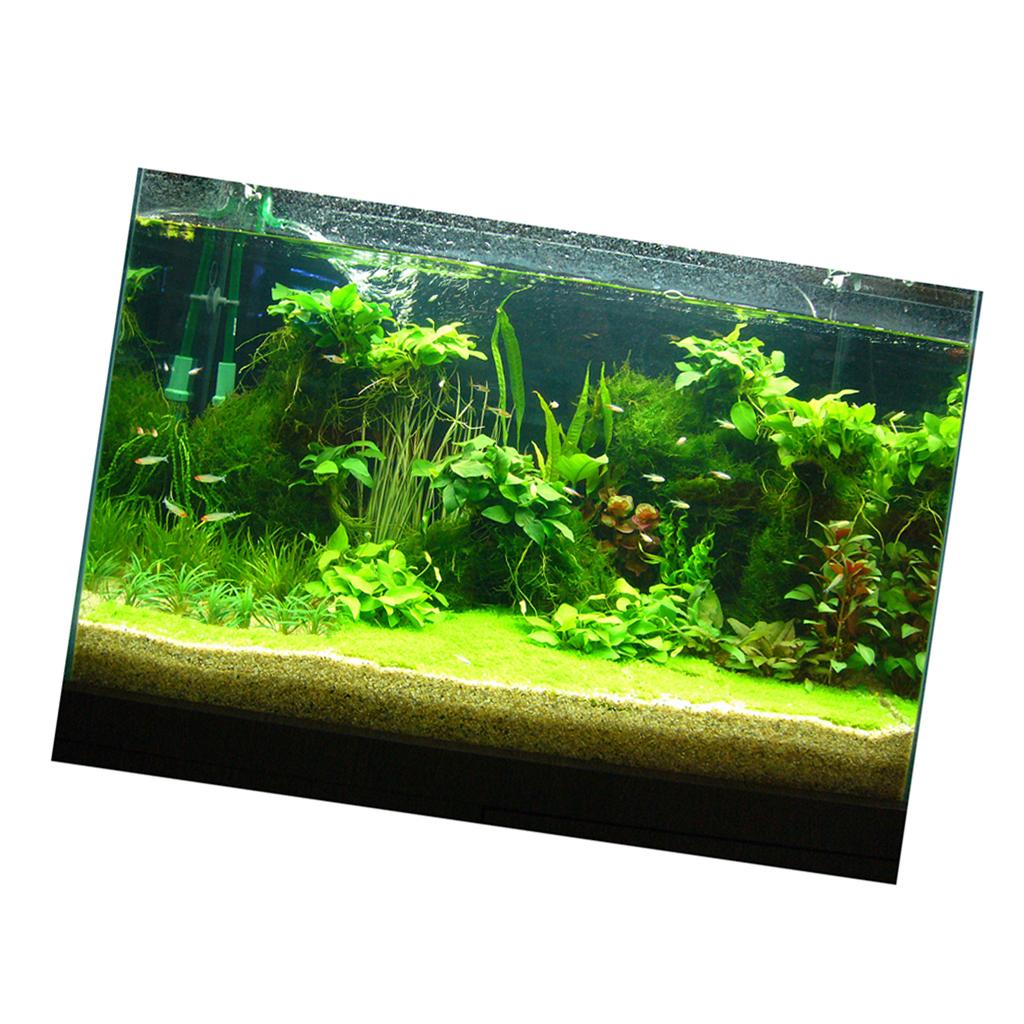 Fish Tank 3D Background Sticke - огляд і ціна Fish In Aquarium Picture