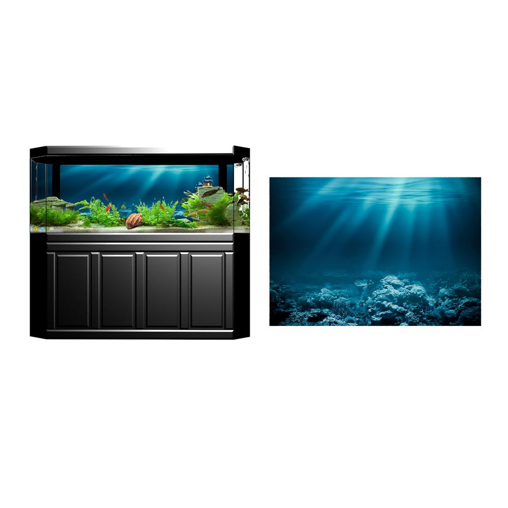 Fish Tank Adhesive Poster PVC  - огляд і ціна Fish In Aquarium Picture