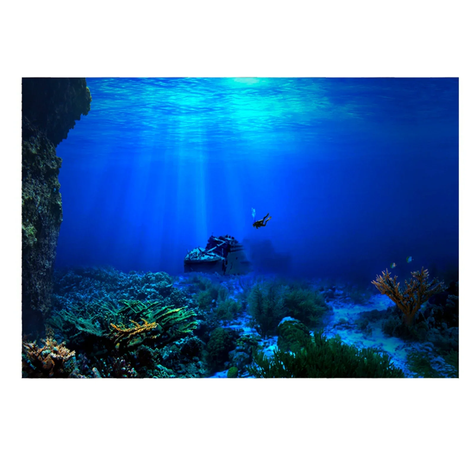 Rainforest Aquarium Background - огляд і ціна Fish In Aquarium Picture
