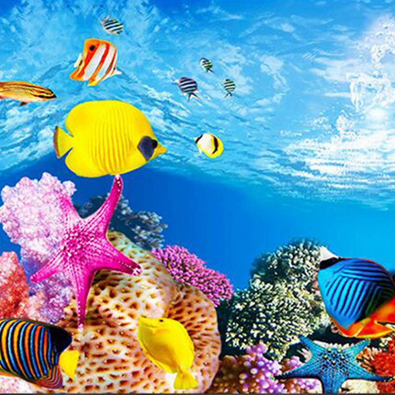 BAAU Aquarium Background Paper - огляд і ціна Fish In Aquarium Picture