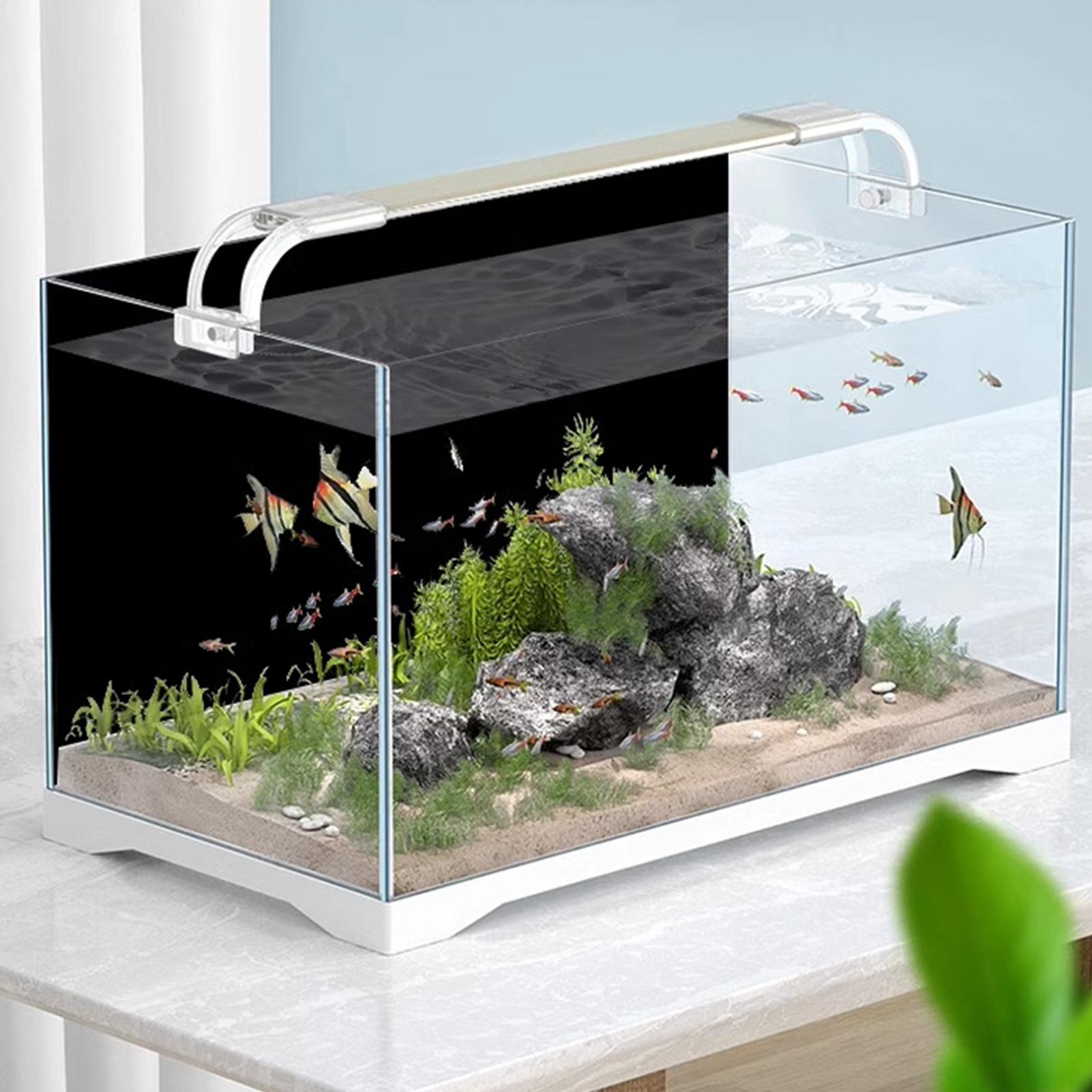 Black Aquarium Background Pict - огляд і ціна Fish In Aquarium Picture