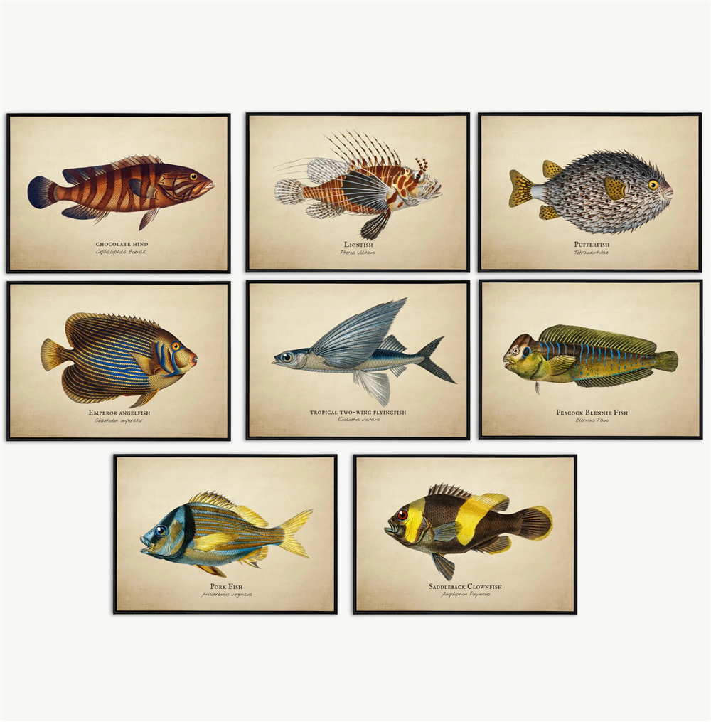 Vintage Pictures Tropical Fish - огляд і ціна Fish In Aquarium Picture