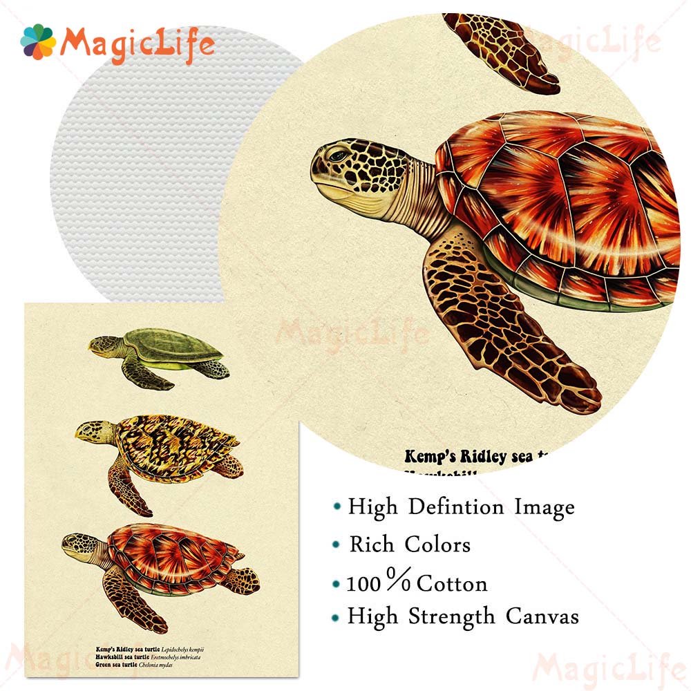 Vintage Sea Fish Tortoise Shar - огляд і ціна Fish In Aquarium Picture