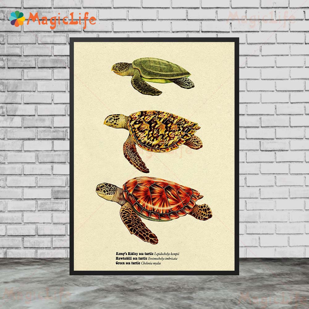 Vintage Sea Fish Tortoise Shar - огляд і ціна Fish In Aquarium Picture