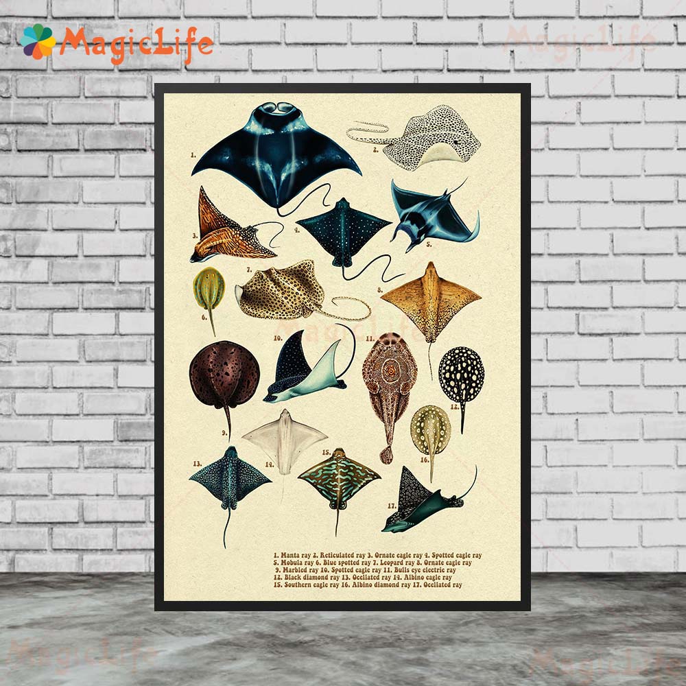 Vintage Sea Fish Tortoise Shar - огляд і ціна Fish In Aquarium Picture