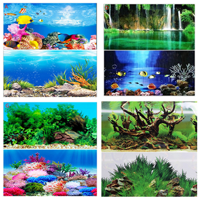 30CM 40CM High Glossy Double S - огляд і ціна Fish In Aquarium Picture
