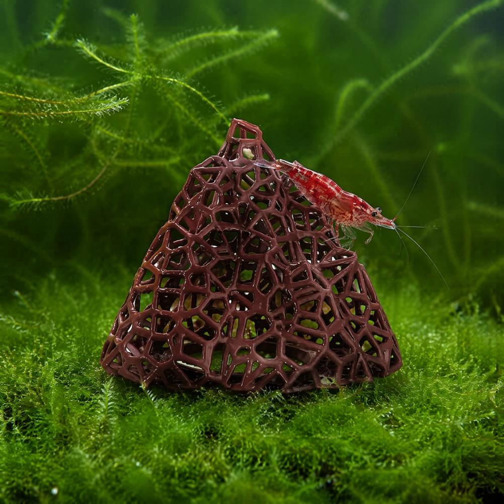 Aquatic Landscape Ornament Aqu - огляд і ціна Fish In Aquarium Picture