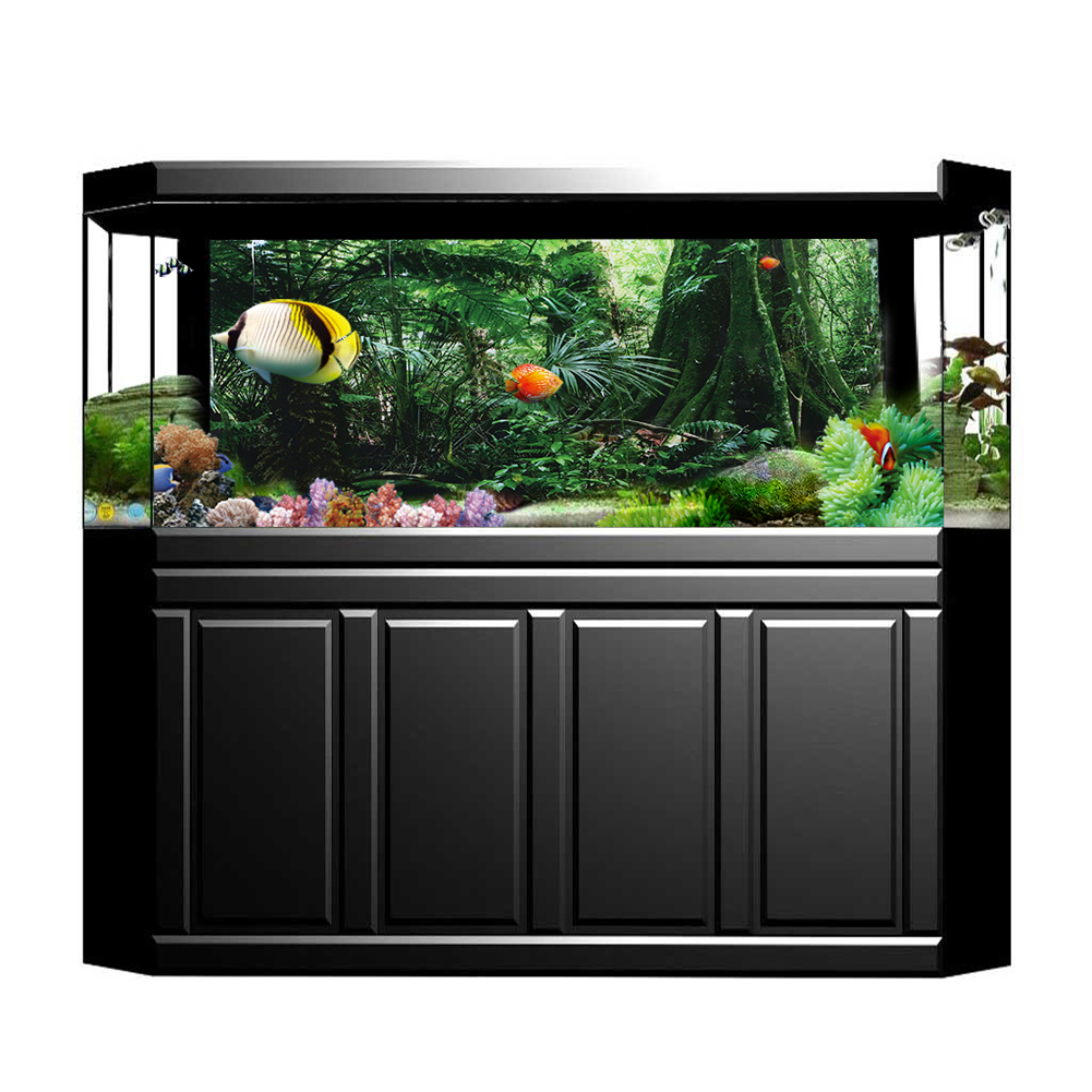PVC Reptile Box Rainforest Bac - огляд і ціна Fish In Aquarium Picture