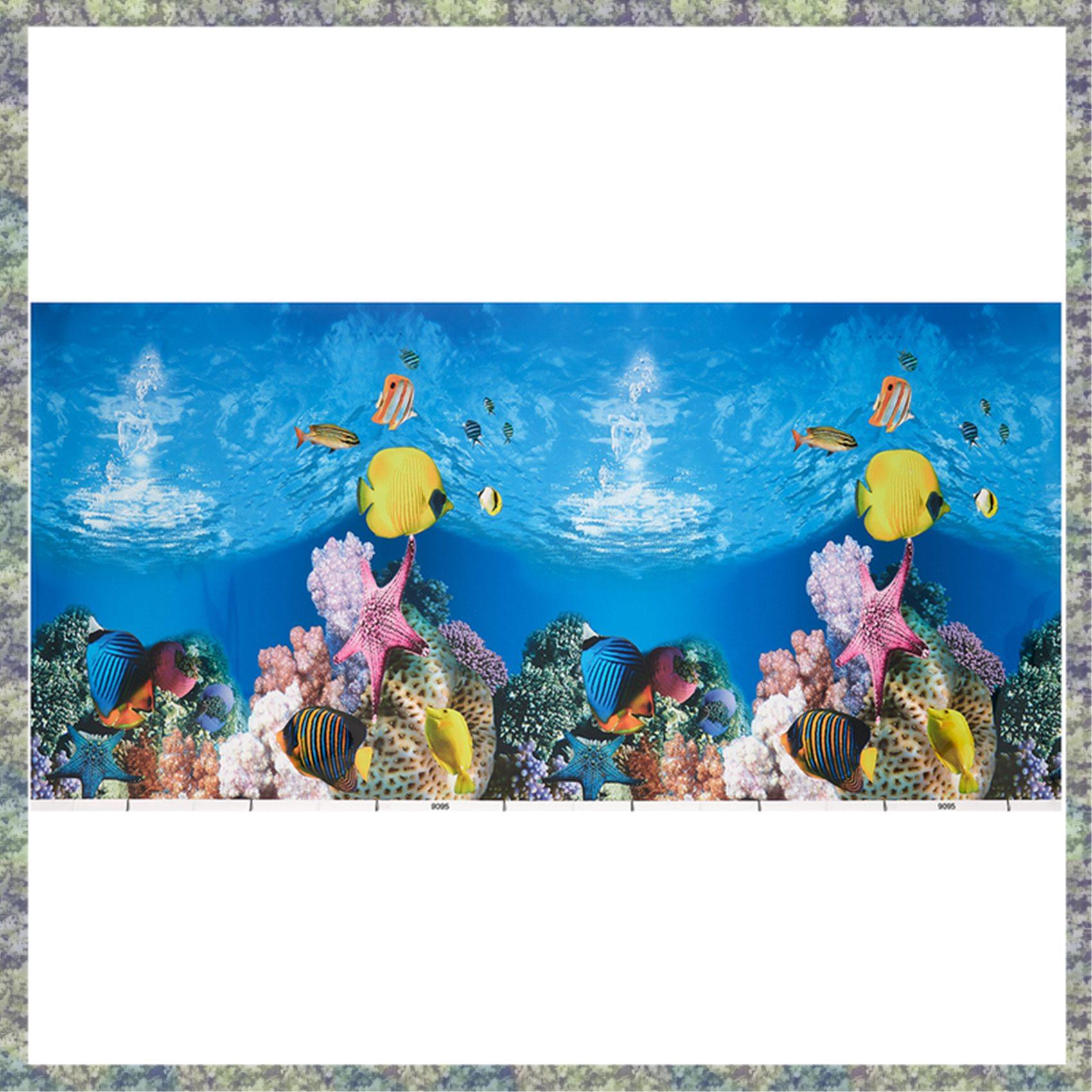 WON Aquarium Background Paper  - огляд і ціна Fish In Aquarium Picture