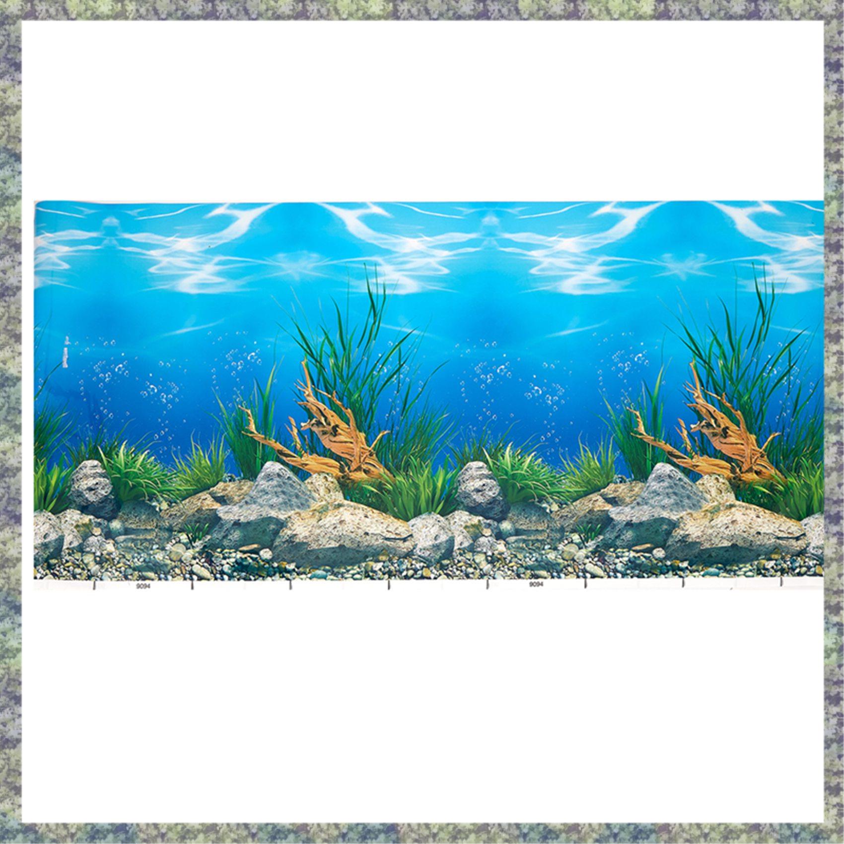 WON Aquarium Background Paper  - огляд і ціна Fish In Aquarium Picture